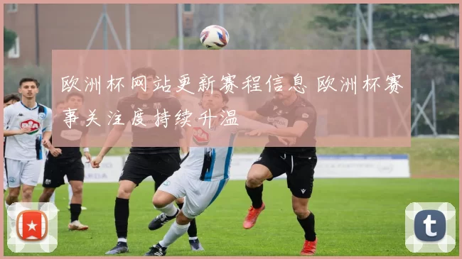 欧洲杯网站更新赛程信息 欧洲杯赛事关注度持续升温