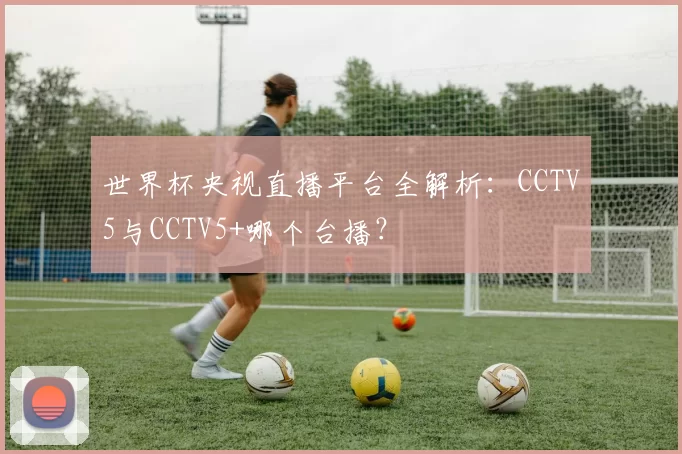 世界杯央视直播平台全解析:CCTV5与CCTV5+哪个台播?