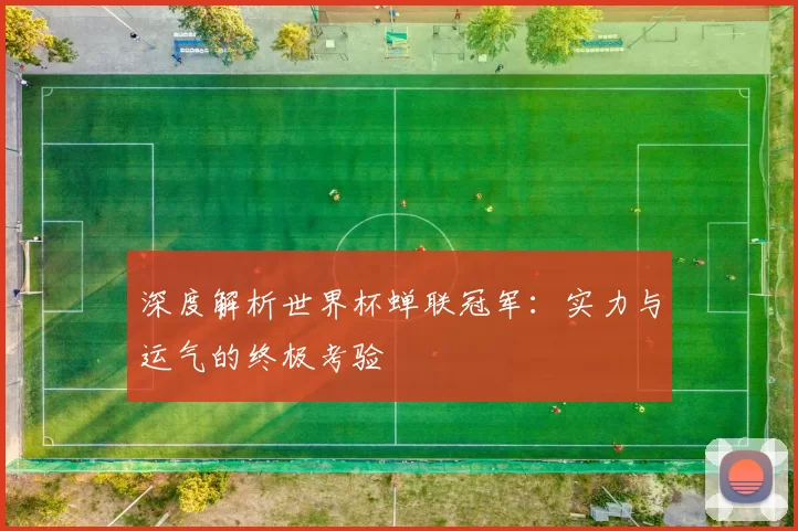 深度解析世界杯蝉联冠军:实力与运气的终极考验