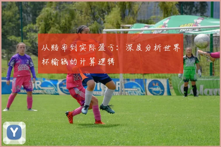 从赔率到实际盈亏：深度分析世界杯输钱的计算逻辑