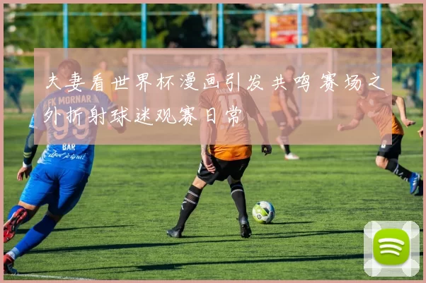 夫妻看世界杯漫画引发共鸣 赛场之外折射球迷观赛日常