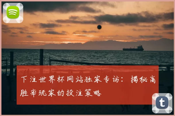 下注世界杯网站独家专访:揭秘高胜率玩家的投注策略