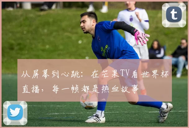 从屏幕到心跳：在芒果TV看世界杯直播，每一帧都是热血故事