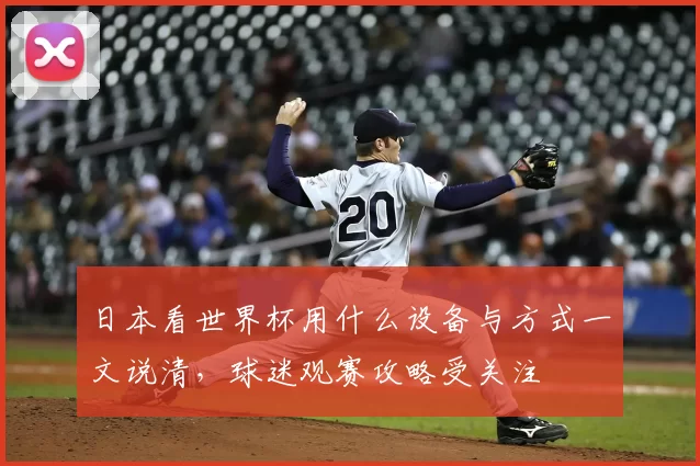 日本看世界杯用什么设备与方式一文说清，球迷观赛攻略受关注